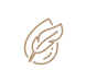 Marron Beige Chic Minimaliste Couvertures de Story à la une Instagram (1).png
