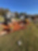 IMG_4299.jpeg