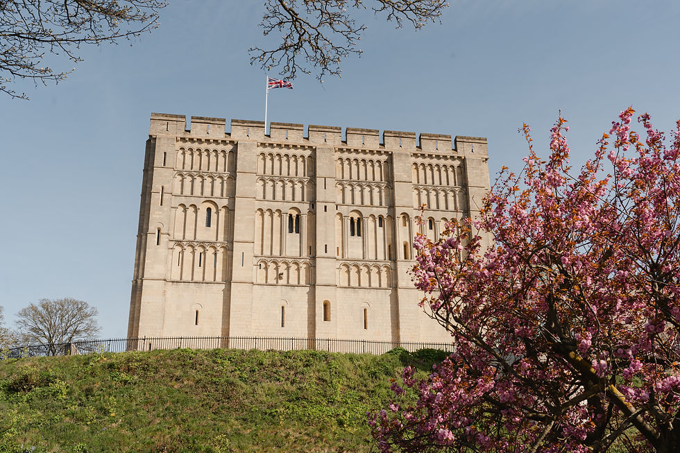 Norwich Castle wedding photography