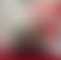 もうすぐひな祭り🎎