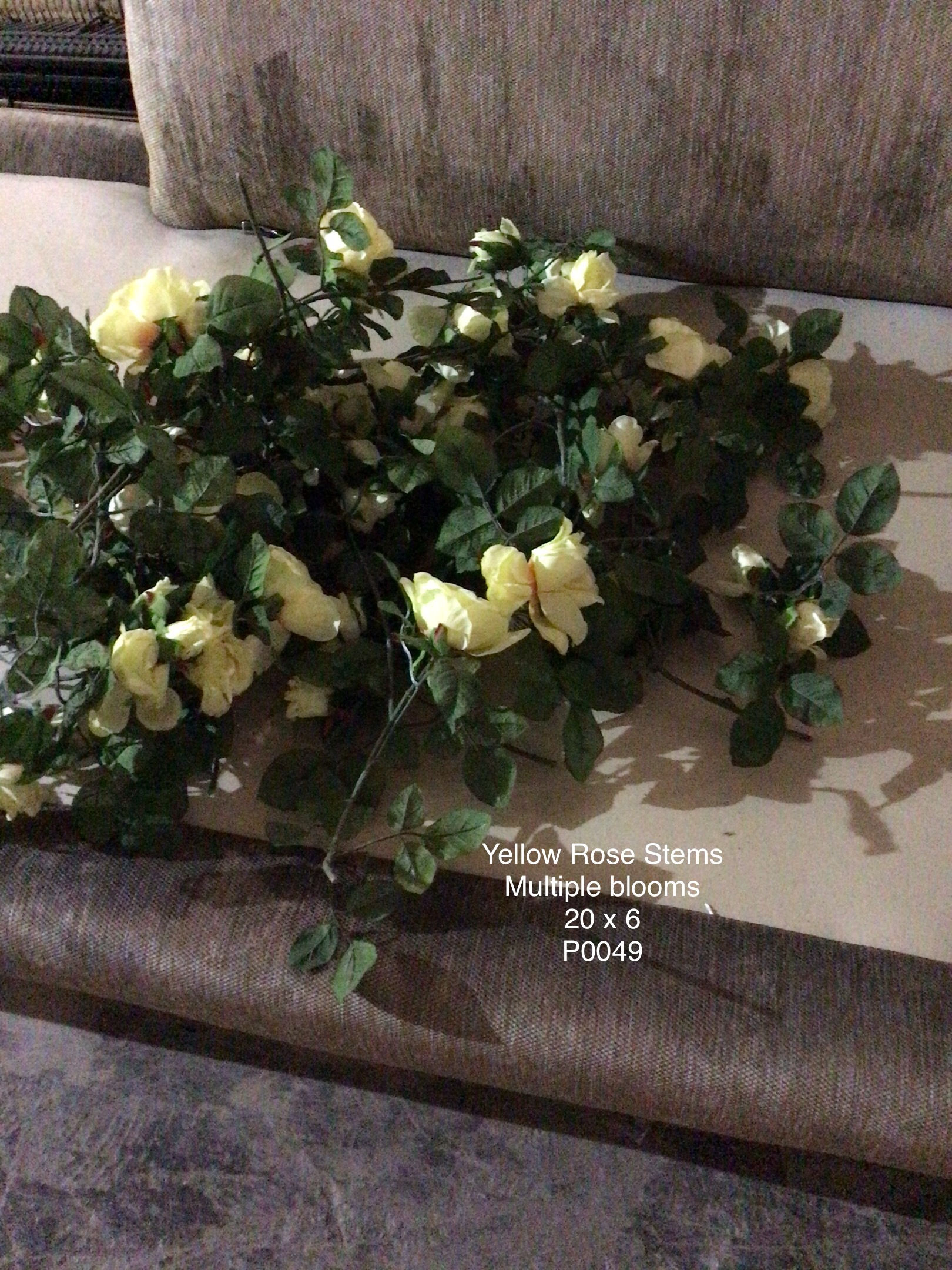 [P0049] Yellow Rose Stems