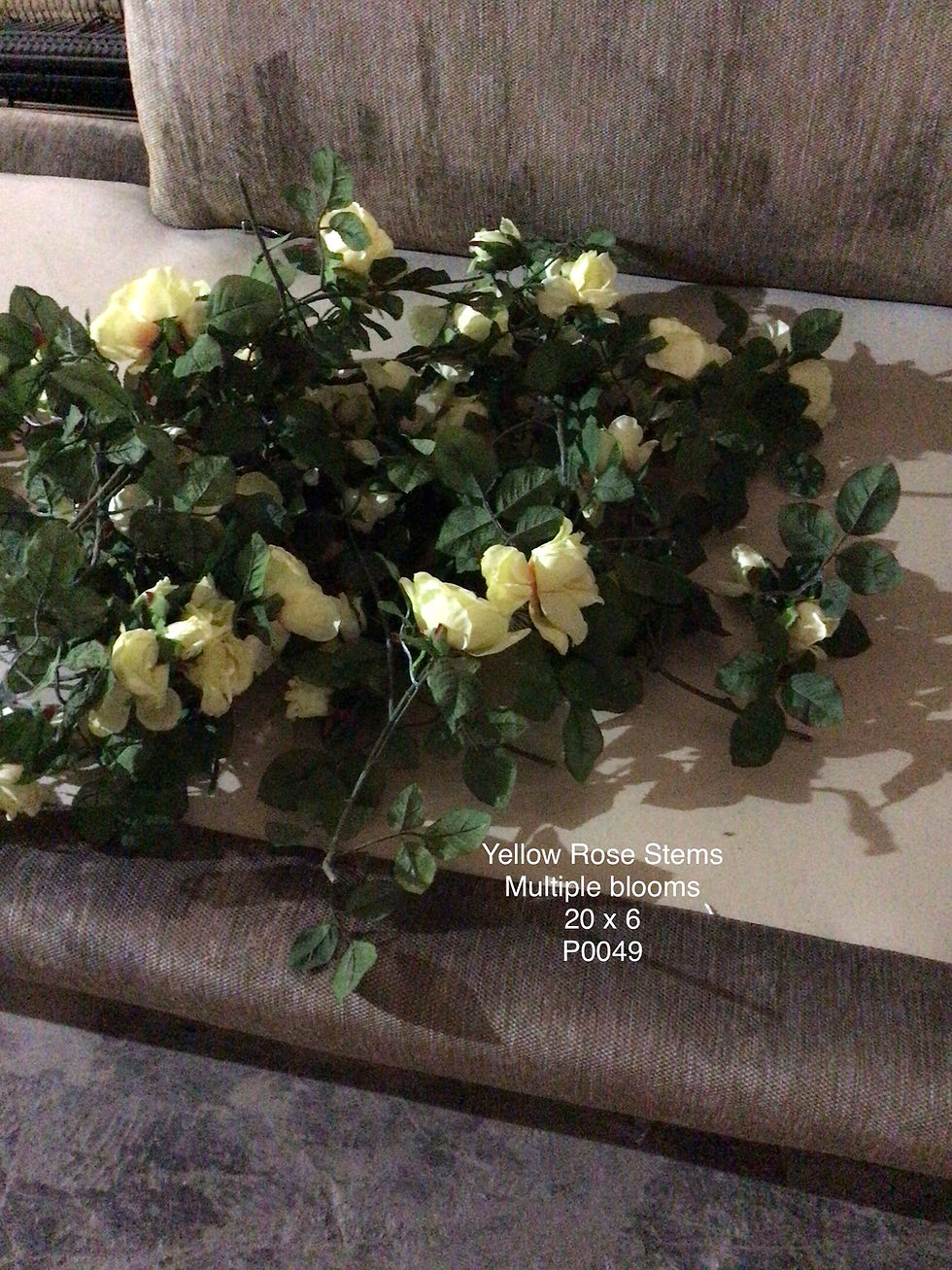 [P0049] Yellow Rose Stems