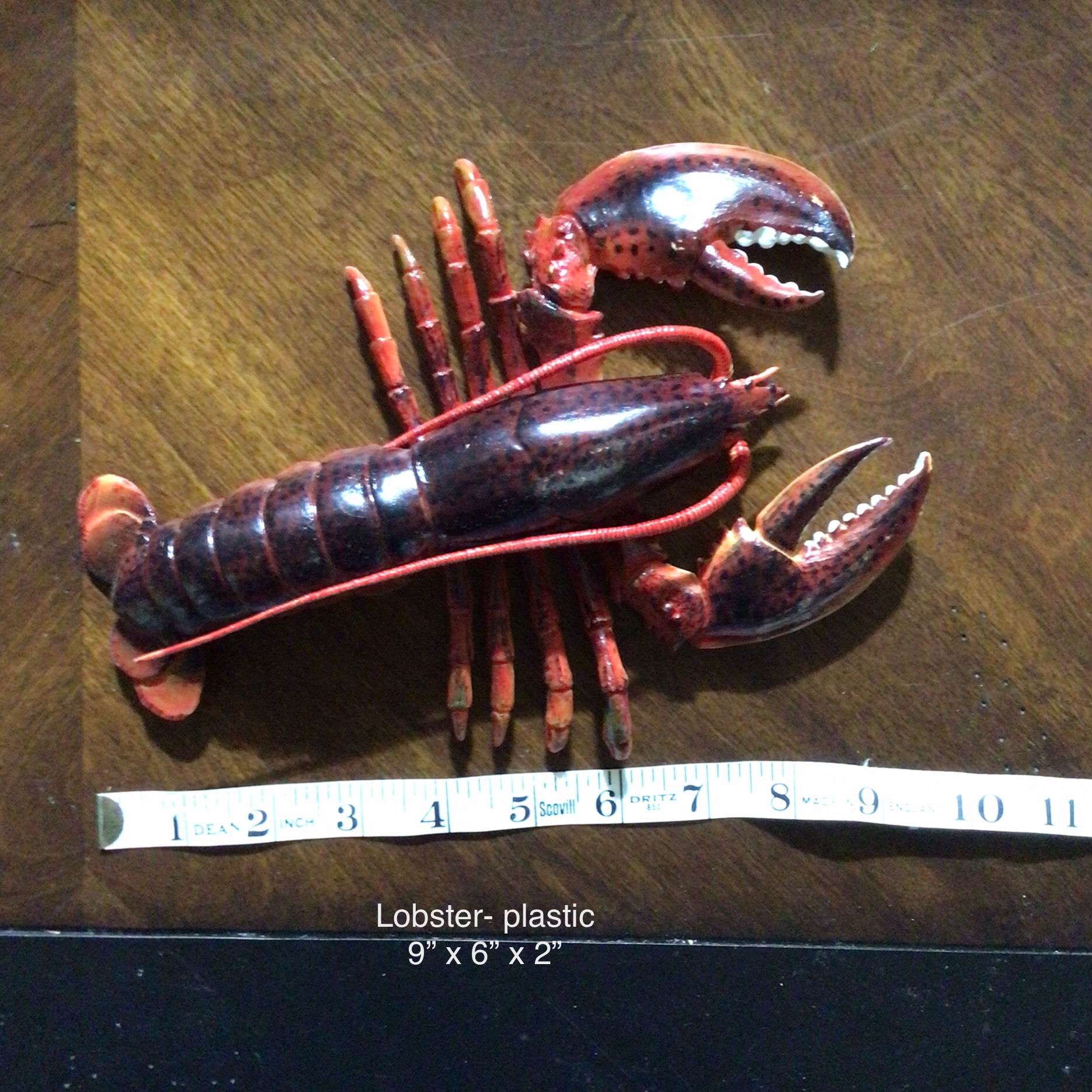 Lobster [Y0007]