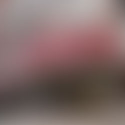 The Role of Architecture in Community Life