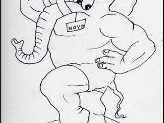 THE ELEPHANT IN THE LIVING ROOM