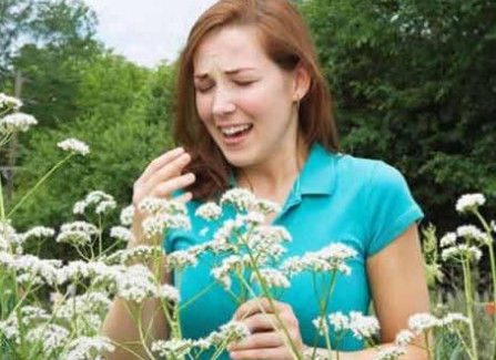Allergy