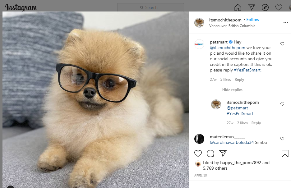 USER- GENERATED- CONTENT: DOs & DON’Ts for BRANDS