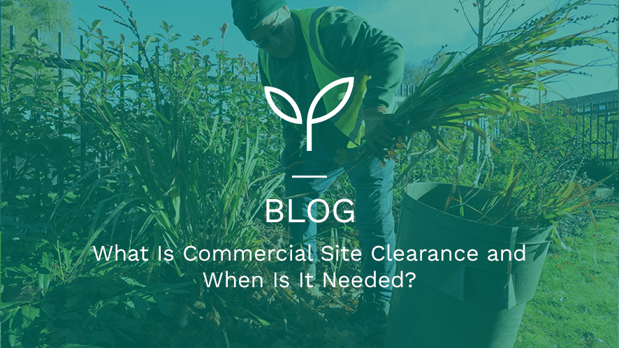 What Is Commercial Site Clearance and When Is It Needed?