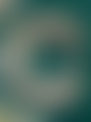 Our approach to to Sustainability