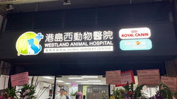 XENON Company Limited