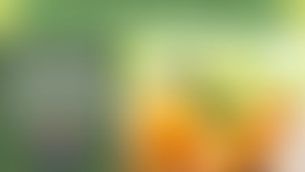 FDA’s Proposed Rule: Updating the Standard of Identity for Pasteurized Orange Juice