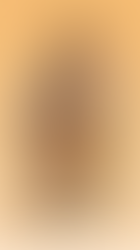 Sons of Italy serve dinner to raise funds for Bethlehem Center