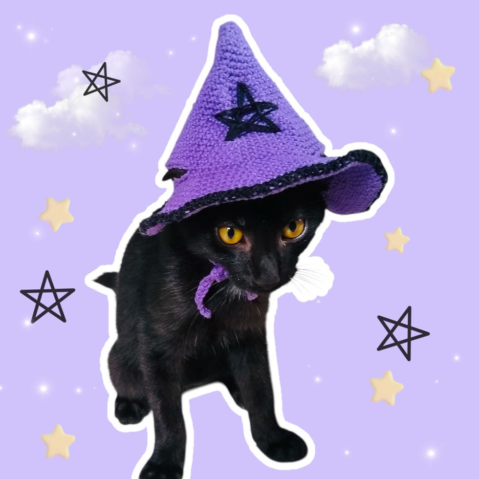 Miniatura: Chapéu de Mago e Bruxa Para Gatos Em Crochê Halloween Pets