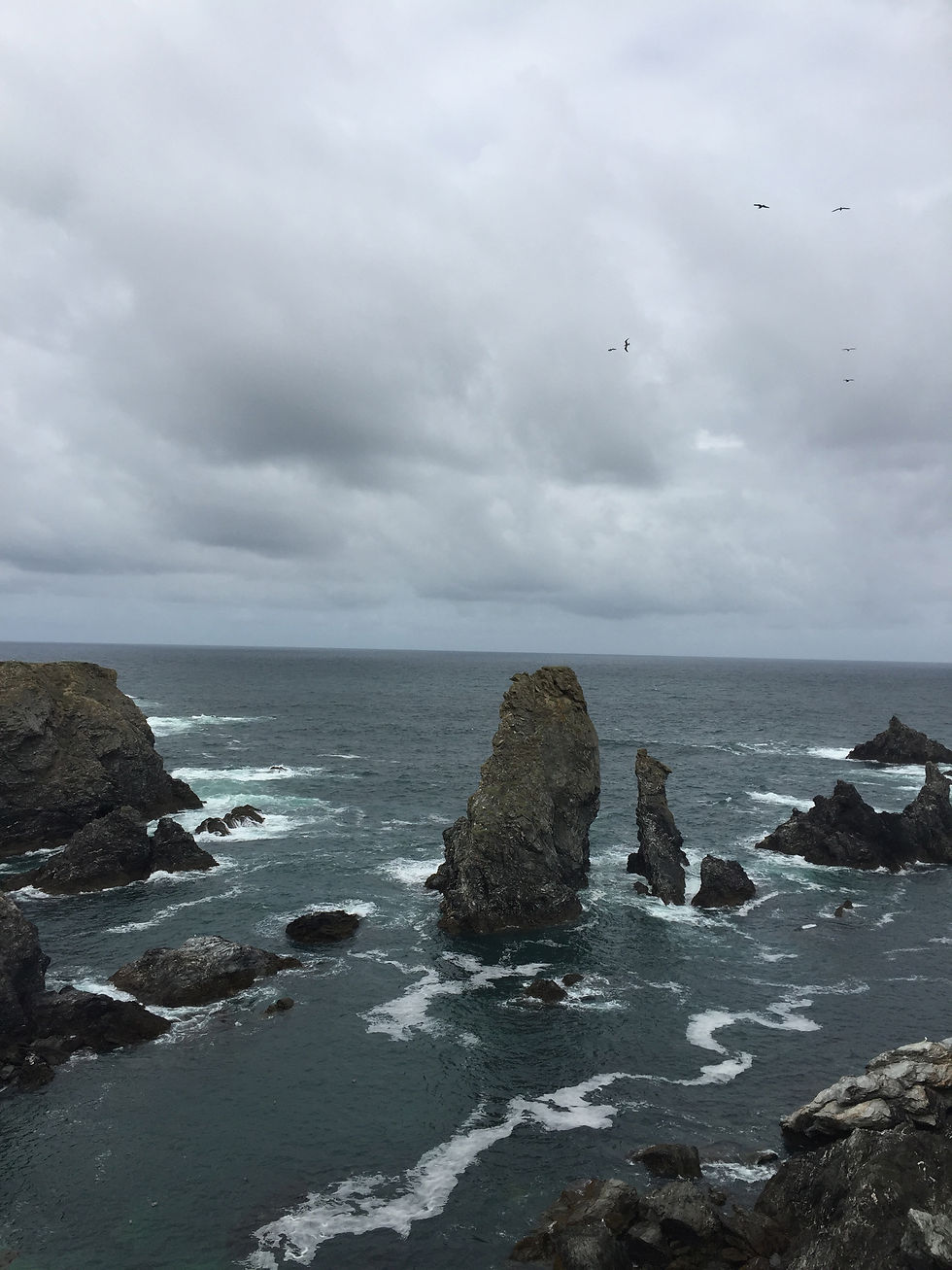 Belle Ile en mer