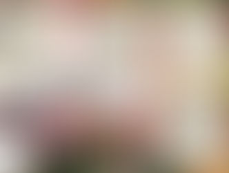 Newsletter 2025-05 May 2025 (Page 2 of 2)