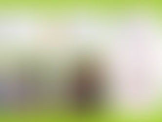 Newsletter 2018-06 June 2018 (Page 2 of 2)