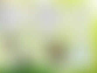 Newsletter 2021-03 March 2021 (Page 2 of 2)