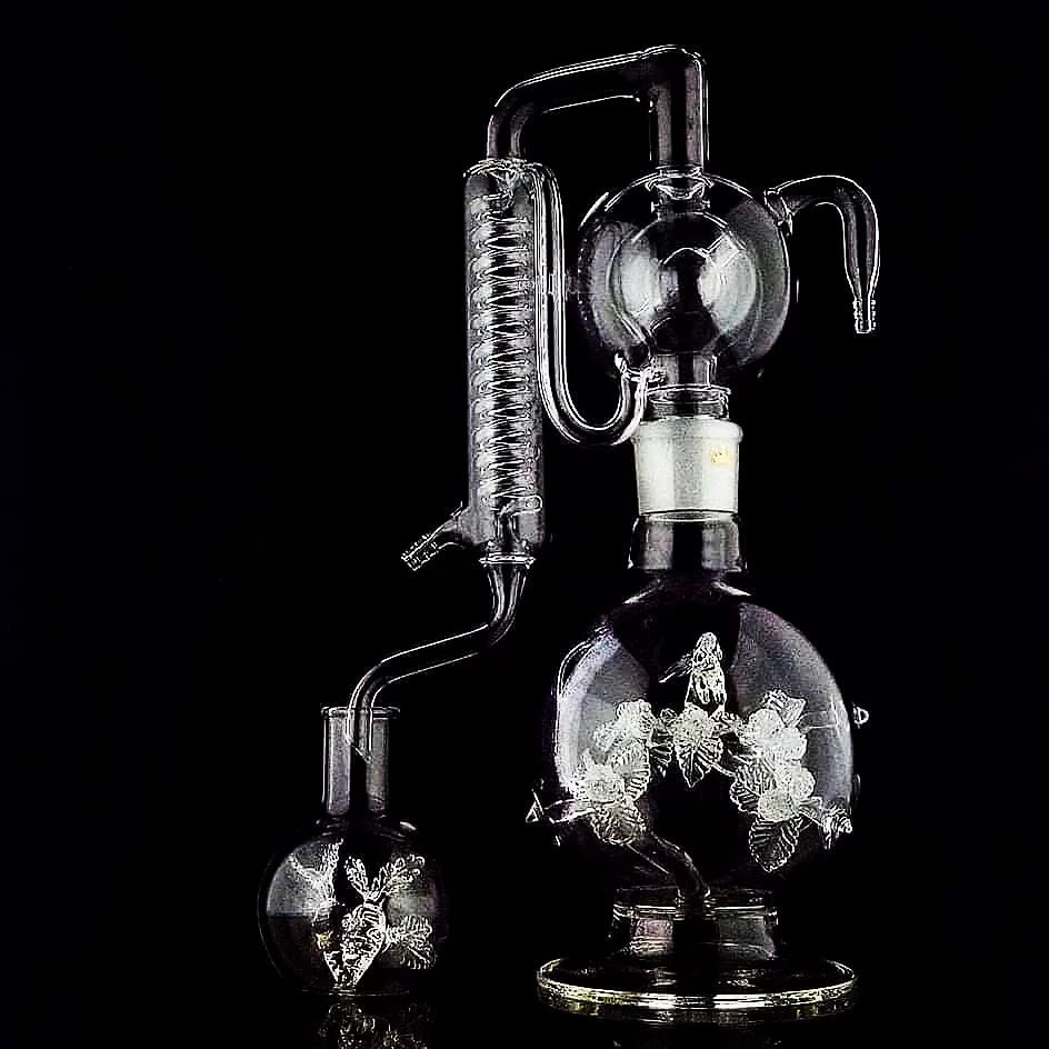 506125901_10159471510137706_5979330538147546300_n