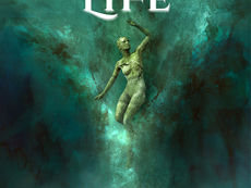 Vallac's "Life": A Review That'll Make You Want to Dance