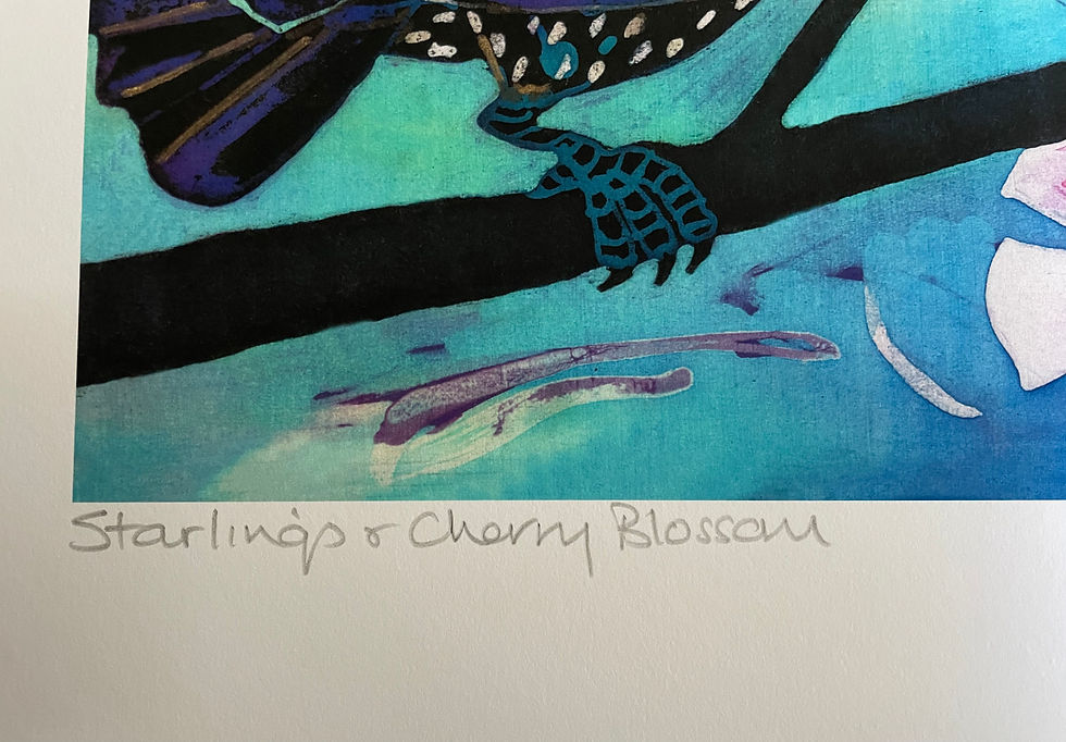 Thumbnail: Starlings & Cherry Blossom archive grade giclee print size 65cm x 32cm +border