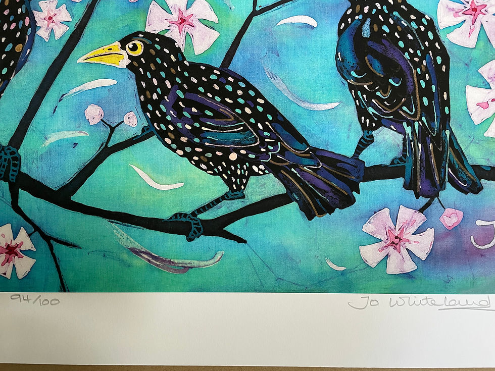 Thumbnail: Starlings & Cherry Blossom archive grade giclee print size 65cm x 32cm +border