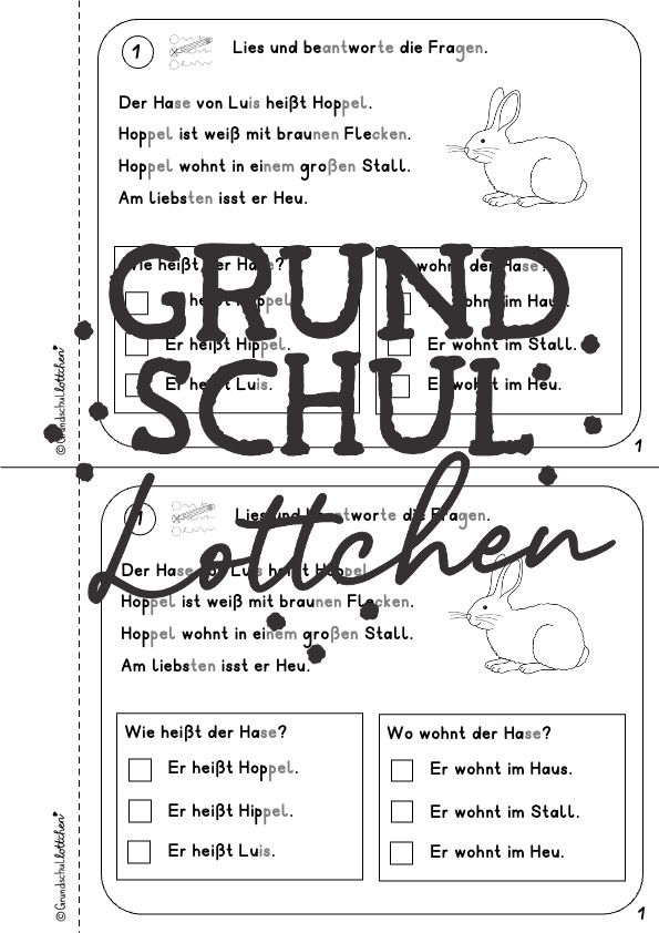 Miniaturbild: Ich lese genau - Miniheft
