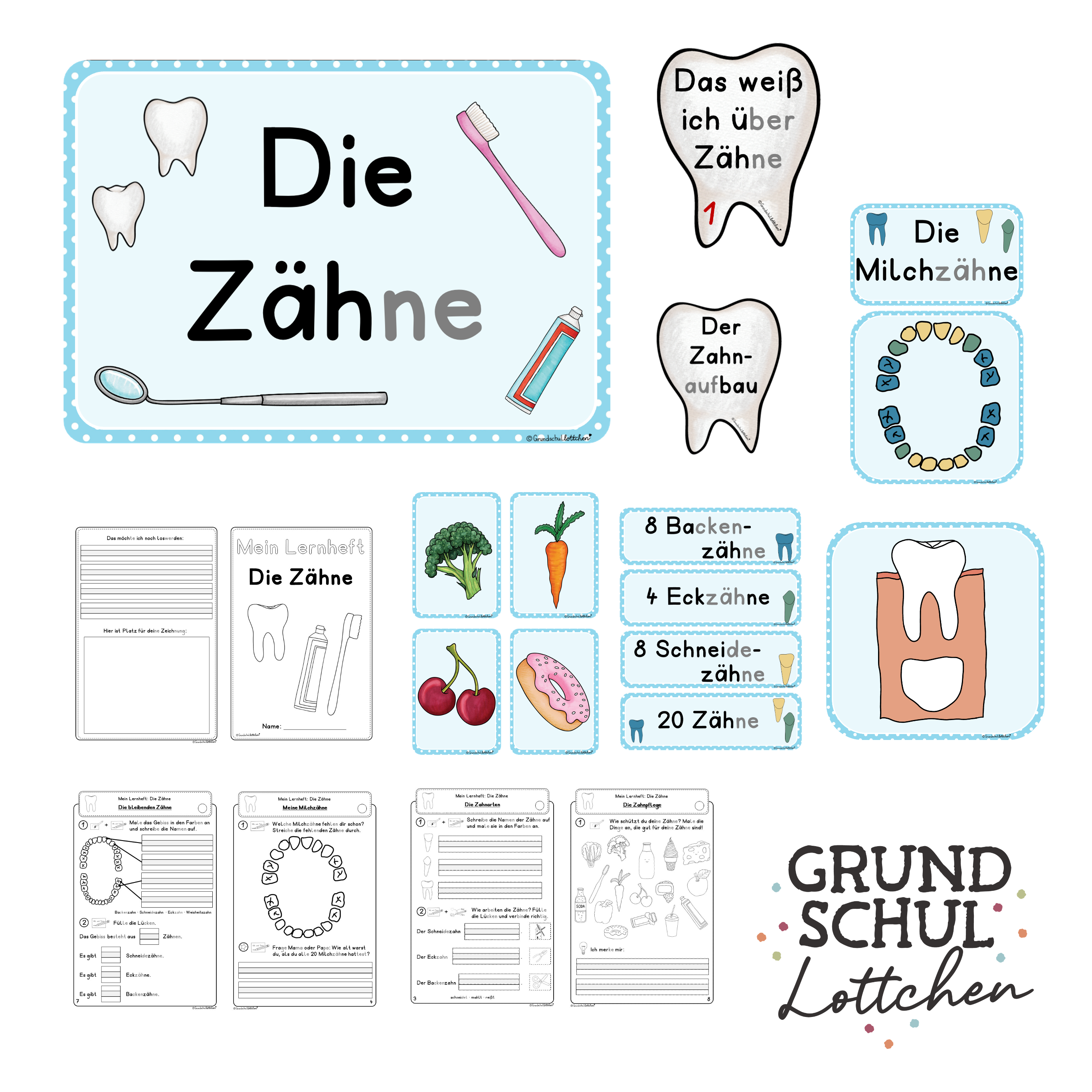Zähne - Materialpaket