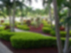SAM_0371