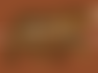 GETTIN' GEAR | BEAR CAN VS BEAR BAG