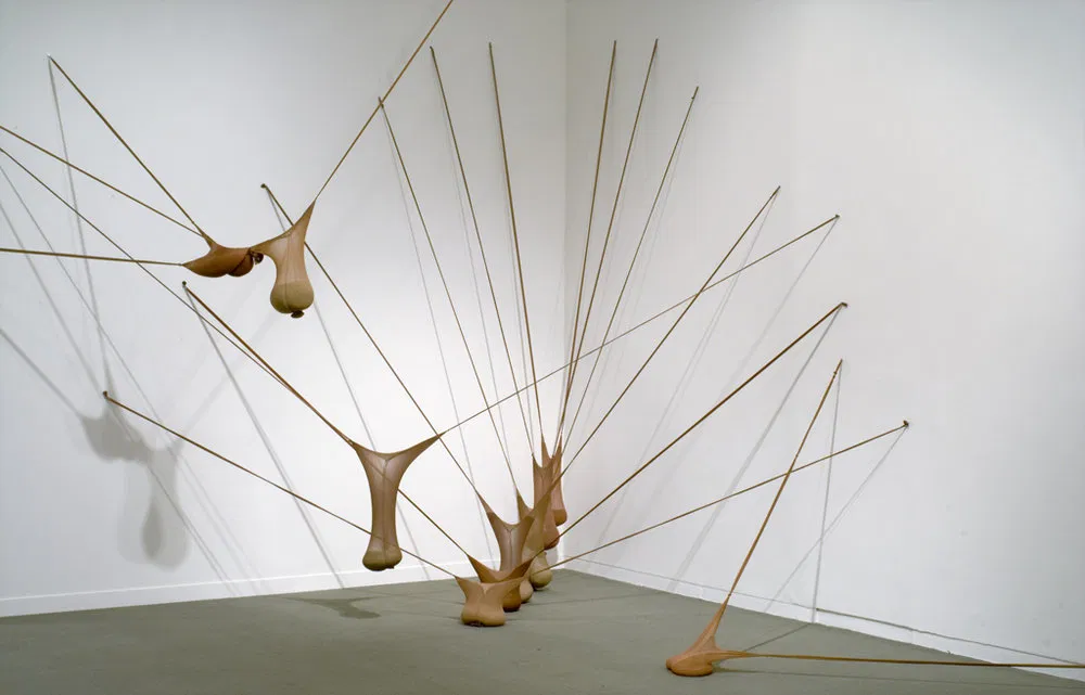 This art installation consists of several pod-like structures encased in nylon netting that appear to hang from and rise out of the floor, all connected by a complex web of thin strings that reach out to and are anchored by slender brown poles. The installation is set in the corner of a white-walled room, with a gray floor covering.  At floor level, a series of the pod-like shapes are spaced in a line, each resting securely. Above and around these are expanses of nylon netting pulled downward by the weight of the pods, creating a delicate, sheer tent-like impression around the structures. Further pods are seen suspended in the air, again encased in the same netting.  Several thin, brown poles radiate out from the top of the installation, stretching upwards and outwards to the walls and ceiling. These poles provide anchor points for the web of strings that connect all the elements of the artwork together, adding structural integrity as well as visual interest.  The overall effect of the installation is one of complex interconnectedness and organic growth within the confines of the man-made space. The interplay between the netting, the pods, the strings, and the poles creates a captivating and dynamic art piece, inviting viewers to explore the relationships between form, material, and space.