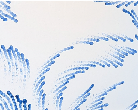 A framed painting with a white background has a stylized, light blue leafy design. The design consists of rows of small, closely spaced dots that create a series of curved lines. The painting is framed in a dark brown frame, which is only partially visible on the right side of the image. The focus is primarily on the upper and middle sections of the painting, with the lower section partially cut off from view. The background wall is a muted light grey, providing a subtle contrast to the white of the painting's background.