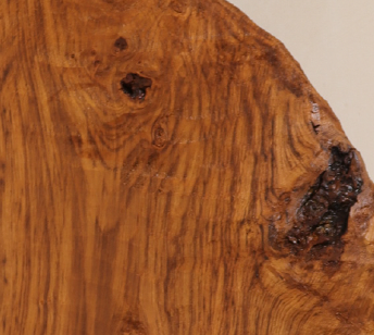 A close-up shot reveals the intricate patterns and texture of a polished, wooden surface, showcasing warm, reddish-brown wood grain. The wood's surface is dominated by a swirl of varying shades of brown, creating a visually dynamic and organic composition. The wood grain runs vertically, emphasized by darker lines that contrast with the lighter tones in between. The wood texture is highlighted by two imperfections: one is located near the upper-left corner, a small, dark-rimmed hole within the wood, an opening into possible decay located deep within the original structure. A second, larger gnarled knot dominates the lower-right area, adding a rugged contrast to the smoother texture of the wood grain. This knot has a rougher, more irregular shape, colored with darkened, coarse fibers. The background is a solid, soft beige, providing a neutral backdrop that accentuates the wood's details and vibrant colors, with hints of blue visible along the upper edge.