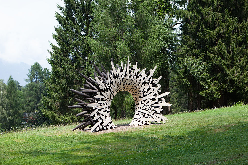 Jaehyo lee's semi circular wooden artwork in display in a northern italy park as part of an outdoor natural exhibition