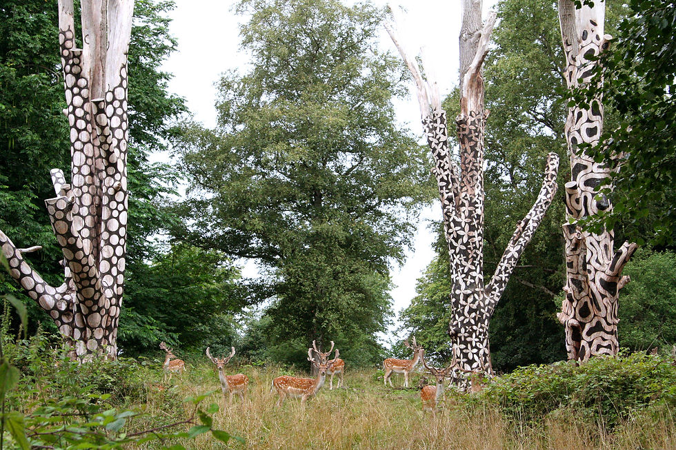 In a high angle, medium shot, a herd of spotted deer gathers at the foot of three dead but elaborately decorated trees in a grassy field on a cloudy, sunny day. The trees are spaced across the image, with one on the left and two on the right. There are 7 deer in the field, all looking at different parts of the landscape around them. Two of the deer are looking to the left, one is looking to the right, and the remaining deer are looking towards the viewer. All of the trees are dead, but each of the standing trees is decorated with black paint to create artistic, geometric patterns. The pattern on the left tree appears to be black dots surrounded by the natural white of the bark. The middle tree is covered in flower-shaped designs, and the right tree is decorated with looping black shapes. Behind the field in the background is a forest composed of many green trees.