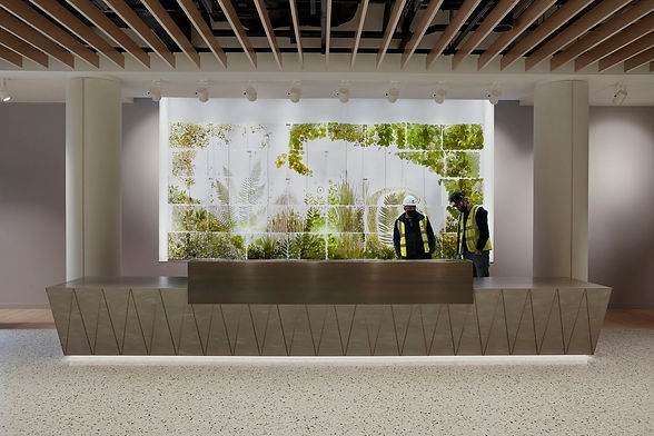 Verdiculture by Sasha Sykes Studio in situ in Numis / Deutsche Bank corporate lobby in st pauls london, in situ in the lobby area