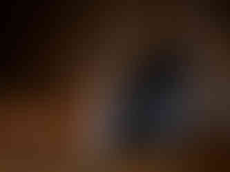 © Ken Noguchi. Photo by Akira Yuasa. Courtesy of WAJOY