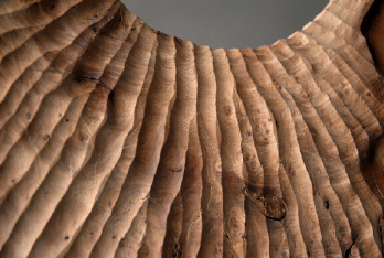 A close-up shot reveals a section of a wooden board, angled to fill the frame diagonally from lower left to upper right. The wood exhibits a rich, dark brown hue, interspersed with black streaks that accentuate its natural grain. This grain pattern is not smooth but textured, featuring pronounced ridges and grooves that run parallel to each other, adding a tactile quality to the surface.  A distinct circular cutout is present on the right edge of the board, revealing a neutral gray background. The edges of this cutout are smooth and precise, contrasting with the rough, grainy texture of the wood. The lighting emphasizes the texture, casting shadows within the grooves and highlighting the raised portions of the wood grain.