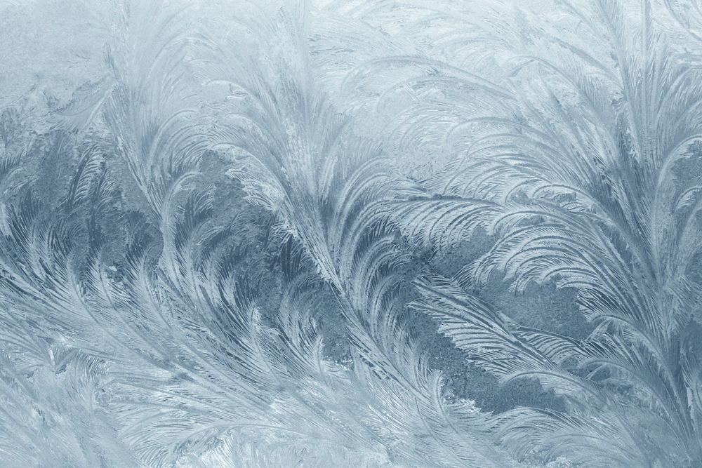 shutterstock_74360797.gif
