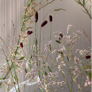 detail of foliage up close in browns, pinks and greens