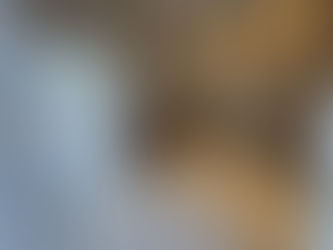 Ref. 201 - Aluga-se amplo conjunto comercial em ótima localização na Av. Ana Costa - Santos/SP