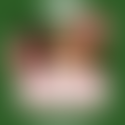 24 de Fevereiro: A Força da Mulher do SIEEACON na Democracia Brasileira