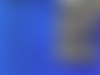 Informativo da Assembleia