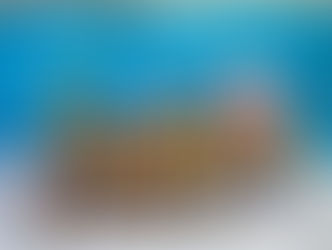 A Magia do Natal contagiou nossa escola