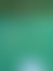 Movimento que Educa: Coordenação Motora na Prática com Alegria!