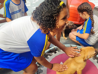 Visita e entrega das doações na ONG Patinhas que brilham
