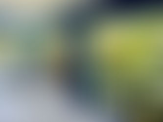 Ref.: 611 - Casa Mobiliada para Locação – Bairro São Francisco, em Arraial d'Ajuda