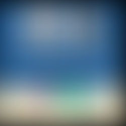 Danilo Busse - Médico Veterinário