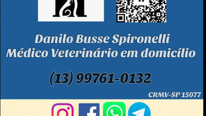 Danilo Busse - Médico Veterinário