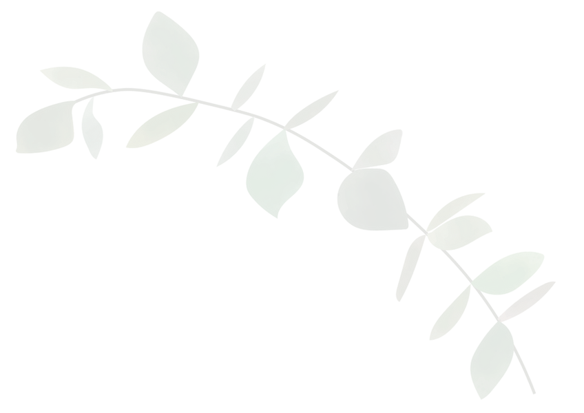 Leaf asset (1)_edited_edited_edited_edited_edited_edited.png