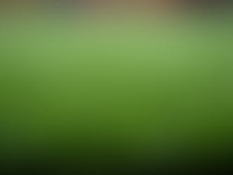 Say Goodbye to Pet Odors on Artificial Turf: How to Remove Pet Odors from Turf Effectively